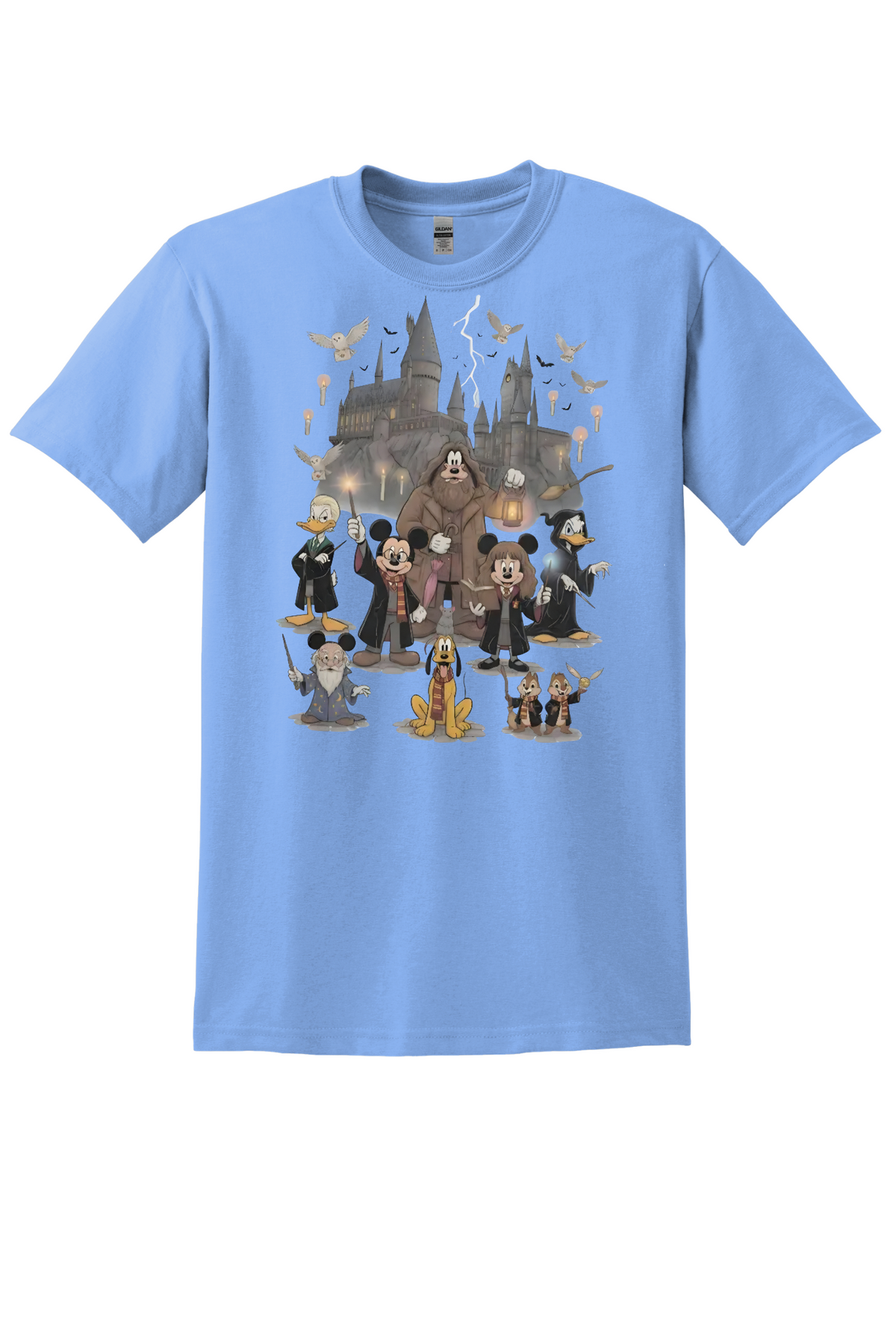 Harry Potter Mickey